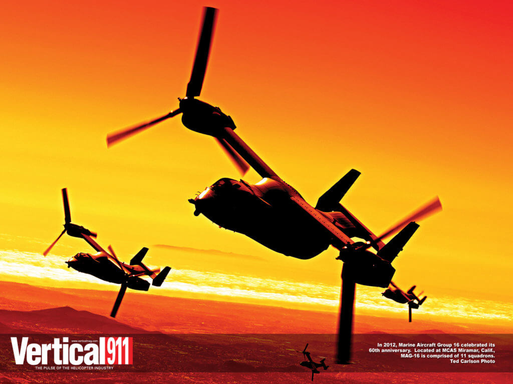 Wallpaper - Spring 2013 - Standard Version