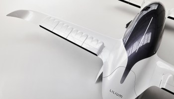 Lilium