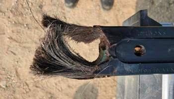 The failed TT strap from the accident aircraft. TSB Photo